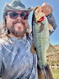 Bait ball at Watch Hill Lighthouse. If you listen close you can hear the  stripers tails slapping the water