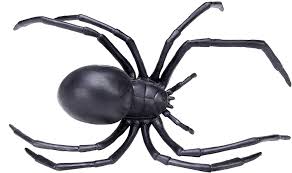 Latrodectus hesperus, the western black widow spider or western widow, is a venomous spider species found in western regions of north america. Buy Safari Ltd Black Widow Spider Online At Low Prices In India Amazon In