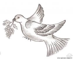 Loading Bird Drawings Beautiful Pencil Sketches Bird Sketch