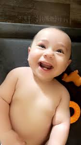 Any advice my 3 year old lab has eaten a banana skin! Anyone