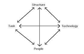 Business Diamond Model Model Category Business Other