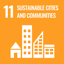 Sustainable Cities India Program
