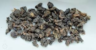 Image result for Hua gabonii