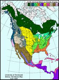 North America Biome Map Coloring Worksheet Tree Communities Of The Forest Biomes Of North America Biomes Forest Map North America