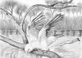 Beautiful Black And White Nature Drawing Best Drawing Ever Of Nature Drawings Of Scenery Google Search Pencil Drawings Of Nature Nature Drawing Nature Sketch
