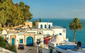 نظرا للاهتمام المتزايد للدراسة بالولايات المتحدة فاننا نتوقع أن تبلغ الطلبات على التأشيرة الأمريكية ذروتها خلال الصائفة. Ø§Ù„Ø³ÙŠØ§Ø­Ø© ÙÙŠ ØªÙˆÙ†Ø³ Sidi Bou Said Tunis Mansions