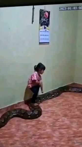 Viral ngayon ang isang malaking sawa kinain ang isang bata kawawa naman  #arielsalonga | Ariel Salonga | Facebook