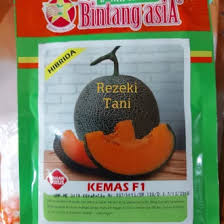 Warna oren sesuai dengan warna apa desainrumahid com sumber : Jual Produk Warna Oren Orange Termurah Dan Terlengkap Agustus 2021 Bukalapak