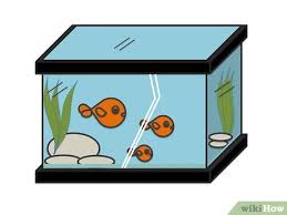 Easy animals to draw cute for children. How To Draw Fish In A Fish Tank 7 Steps With Pictures Wikihow