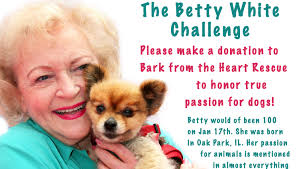 How to Support Bark from the Heart Rescue