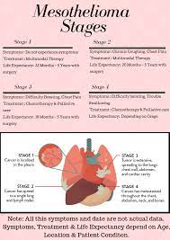 A diagnosis of lung cancer naturally causes some overwhelming emotions, but you don't have to let those emotions get the best of you. How Long To Live With Mesothelioma And It S Guide And Survival Rates Instax World