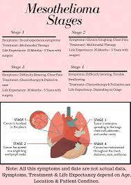 For pleural mesothelioma patients, the stage 4 survival rate is approximately 14.9 months. How Long To Live With Mesothelioma And It S Guide And Survival Rates Instax World