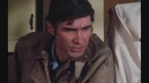 Michael Norell as Captain Hank Stanley