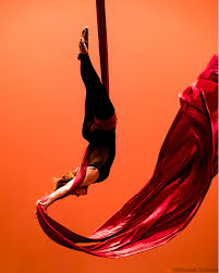 Image result for Krauseola