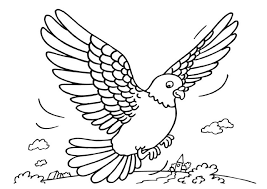 Rock pigeon coloring page | free printable coloring pages. Rock Pigeon Pictures To Colour Coloring Page Free Printable Coloring Pages For Kids
