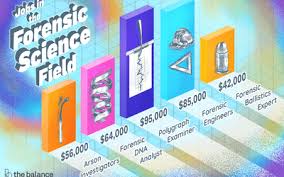 How is forensic science and chemistry related? Which Forensics Major Is Right For Your Career