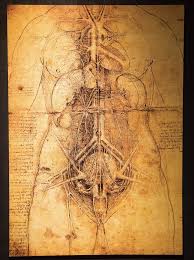Simplicity is the ultimate sophistication. Curated The Many Wonders Of Leonardo Da Vinci Tmc News