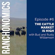 The Cattle Market is High with Bud and Rusty Williamson [episode 6]