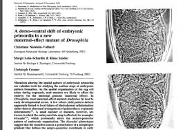 Note las bandas de dentículos en el. An Interview With Christiane Nusslein Volhard The Node