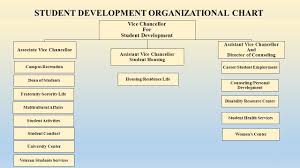 Student Development Organizational Chart Ppt Video Online