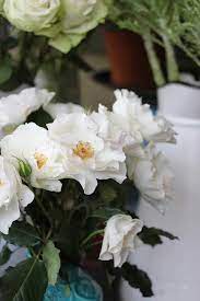 Inside Achillea Flower Shop Quirky Flower Adventure The Smell Of Roses The Smell Of Roses