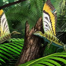 Yuna b love onlyfans side-tracked, scrolling through her