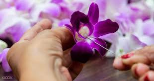 While primarily serving domestic traffic, san diego has nonstop international flights to destinations in canada. Airport Flower Lei Greeting At Lihue Airport In Hawaii Klook New Zealand