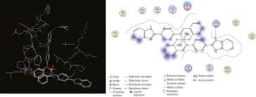 Convert 1 euro to romanian leu. Benzimidazole Schiff Bases And Their Complexes Synthesis Anticancer Activity And Molecular Modeling As Aurora Kinase Inhibitor
