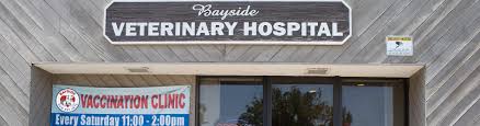 County line pet hospital is proud to serve steger, il and surrounding areas. Bayside Veterinary Hospital