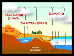 Penguapan air dari daun atau tajuk. Https Library Unibabwi Ac Id Repository 5 Pdf