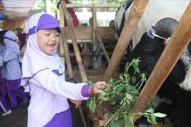 By gambar hewan kamis, 09 juli 2015 add comment. 3 Cara Mudah Bermain Sains Bersama Anak Usia Dini Halaman All Kompas Com