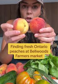 Celebrity Lawsuits: Blake Lively and Justin Baldoni