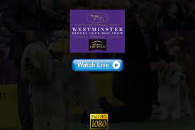 The 145th annual westminster kennel club dog show will take place at lyndhurst, an estate along the hudson river, about 25 miles north of manhattan. Z1ofj7piq38aam