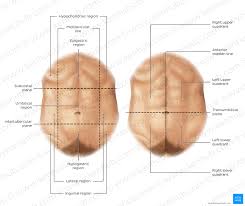 Anatomy of liver  the liver is a reddish brown organ with four lobes of unequal size and shape. F 2z68zjlshnrm