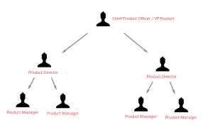Understand The Product Organization Understand The Role Of