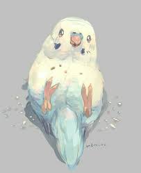Image Result For Budgie Chibi Cute Animal Drawings Cute Art Animal Drawings