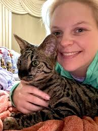 Found cat in Port Orange, Commonwealth estates