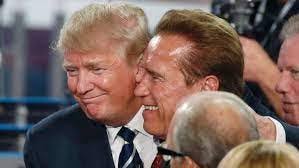 Arnold Netflix Documentary — Watch Or Avoid? My Review