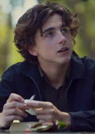 Fan Casting Cameron Boyer as Regulus Black in All The Young Dudes