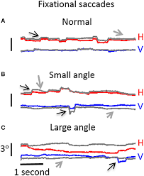 Image result for Visual Fixation