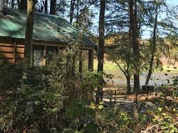 Follow this handy camping guide for tips on beach camping destinations in the sunshine state. Florida Cabins In State Parks 19 Places To Stay Amid Nature