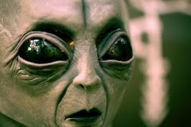 We did not find results for: All Of The Ben 10 Alien Names In One Handy List By Kidadl