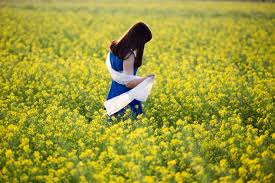 Image result for hoa cai images