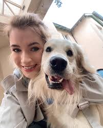 Sir Biscuit 🐶 (@sir_biscuit_retriever) • Instagram photos and videos