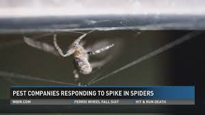 We're knoxville and powell's dedicated pest control team. Knoxville Pest Companies Respond To Spike In Spider Infestations Wbir Com