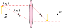 Double Convex Lenses | CK-12 Foundation