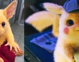 Maybe you would like to learn more about one of these? This Bronze Mouse Knitting Dna Honors The Sacrifice Of Mice In Research Geeky