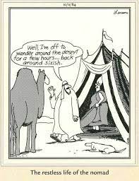 Camels have long been domesticated and, as livestock, they provide food (milk and meat) and textiles (fiber and felt from hair). The Far Side The Far Side Far Side Cartoons Funny Cartoons