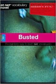 Busted Sparknotes Smart Novels Vocabulary By Sparknotes