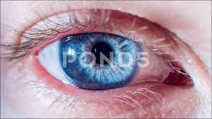 Beautiful Blue Eye Opening Up And Closing As Pupil Contracts And Dilates Macro Stock Footage Opening Closing Beautiful Blue Eyes Beautiful Vintage Logo Design